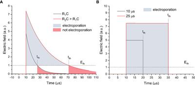 Does the shape of the electric pulse matter in electroporation?